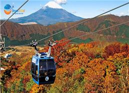 Tour Nhật Bản 2025: Cáp Treo Hakone Ngắm Mùa Thu